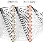 The structure of the neural network